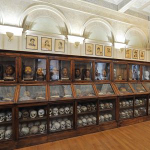 Museo di Antropologia Criminale
